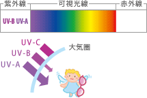 紫外線A波もB波もカット