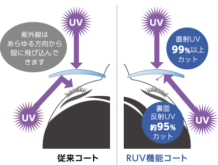 表面も99%以上カットしているので全方位で紫外線から眼を守る